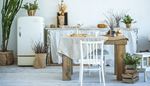 tablecloth, catkins, chair, fridge, cotton, cactus, stool, box