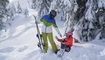 neve, cabinovia, albero, occhiali, sciatore, casco, caduta, sci, aiuto