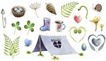 caterpillar, chanterelle, toadstool, clover, rubberboots, snail, tent, nest, cone, fern