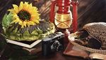 seeds, sunflower, lantern, glasses, petals, hat, camera, pages, book