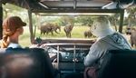 herd, hood, nationalpark, elephant, gingerhair, leather, sunhat, jeep