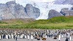 pinguin, kolonie, gletscher, kuken, seebar, berg, teich, hugel