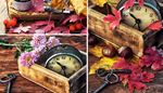 clockface, clockhand, chestnut, petals, mapleleaf, berry, keys, autumn