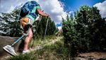 backpack, hikingpoles, cloud, prosthesis, sneakers, path, hiking, shrub, man