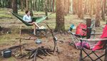 laptop, nationalpark, backpack, camping, hammock, trunk, firewood, forest, dirt