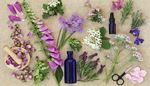 bud, elderflower, foxgloves, rosemary, mortar, scissors, chives, pestle, petals, thyme