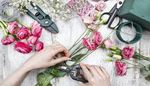 shears, scissors, florist, flower, wire, tool, pins, rose
