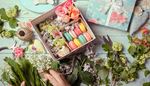 bow, twine, clothespins, scissors, macarons, may-lily, leaves, rose, box, shears, lilac