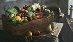box, brusselssprouts, potatoes, windowsill, cauliflower, bellpepper, broccoli, milkchurn, pear, zucchini, radish, lettuce, tomatoes, cabbage, carrot