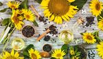 butterfly, petals, sunflower, flask, spoon, oil, leaf, lid, seeds, vase