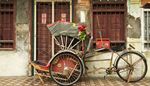 rickshaw, transport, tricycle, pedal, shutters, bouquet, house, door, hub, mailbox, wheel