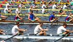 racingboat, rowing, oarsman, competition, cap, number, team, paddle, row, water