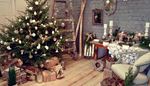 lace, stepladder, decoration, gift, squirrel, skis, firewood, sled, mirror