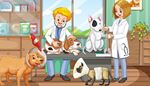 fur, bullterrier, veterinarian, examination, clinic, bandage, parrot, stethoscope, petfood, cone, dog, care
